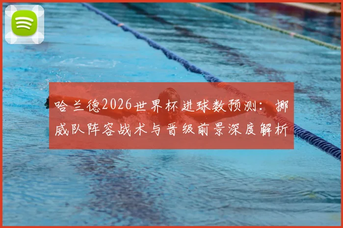 哈兰德2026世界杯进球数预测：挪威队阵容战术与晋级前景深度解析